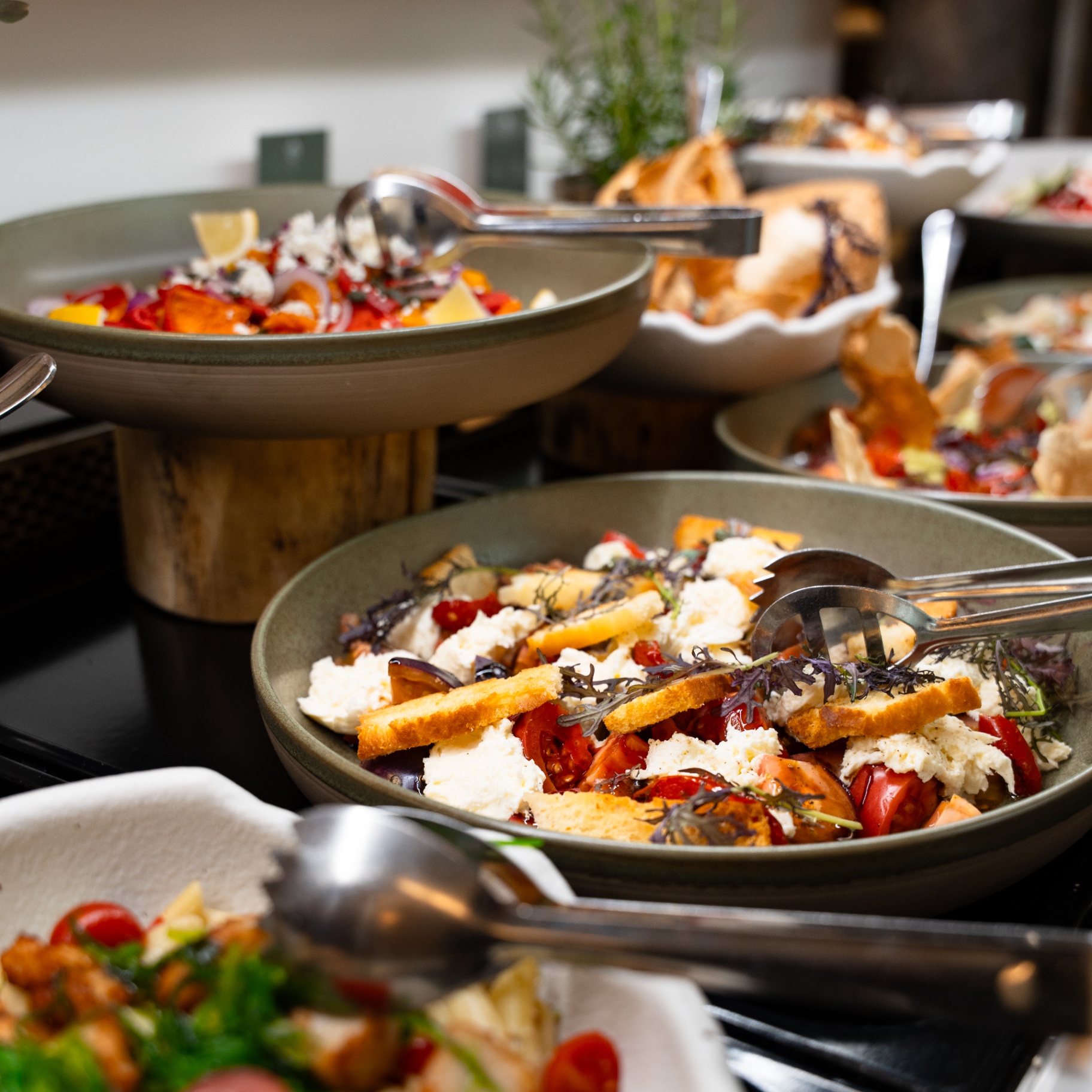 Tasty lunch buffet with fresh salads and dishes